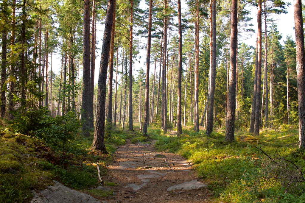 Aller voir le père Noël – partie&nbsp;1